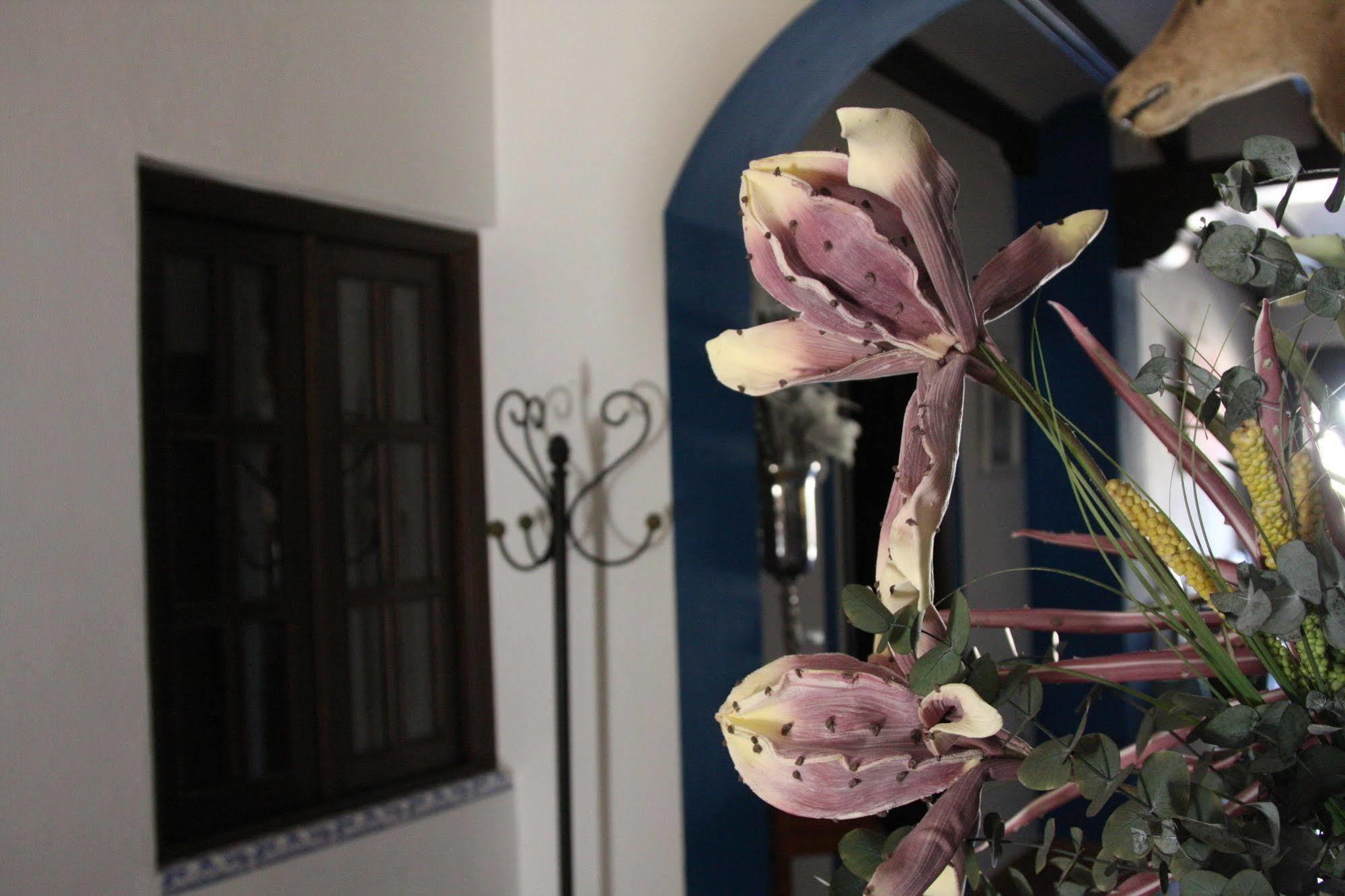 Casa Rural El Sombrero El Rocio Ngoại thất bức ảnh